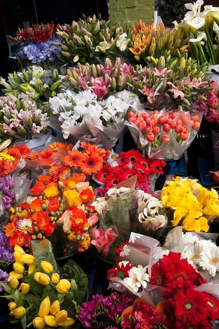 Golden Hour Splendor: A Radiant Floral Array
