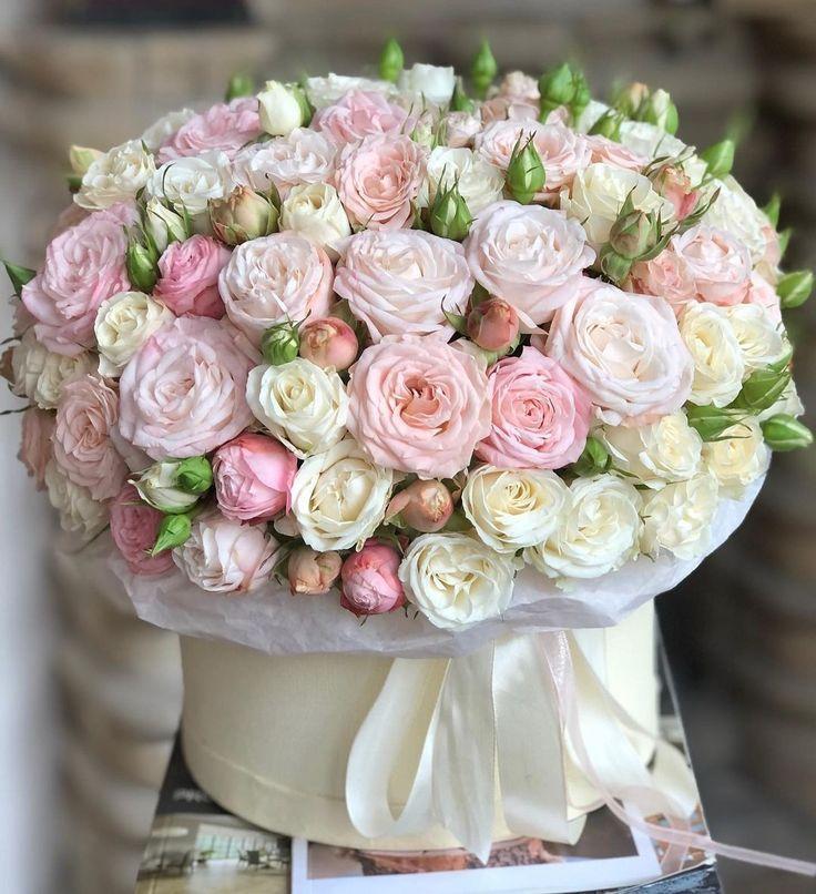 Secret Garden Tales: Blooms of Mystery